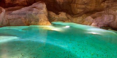 Monedas en la cuenca de agua bajo la Fontana de Trevi Roma