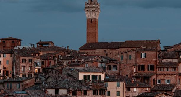 Torre del Mangia und Dächer von Siena