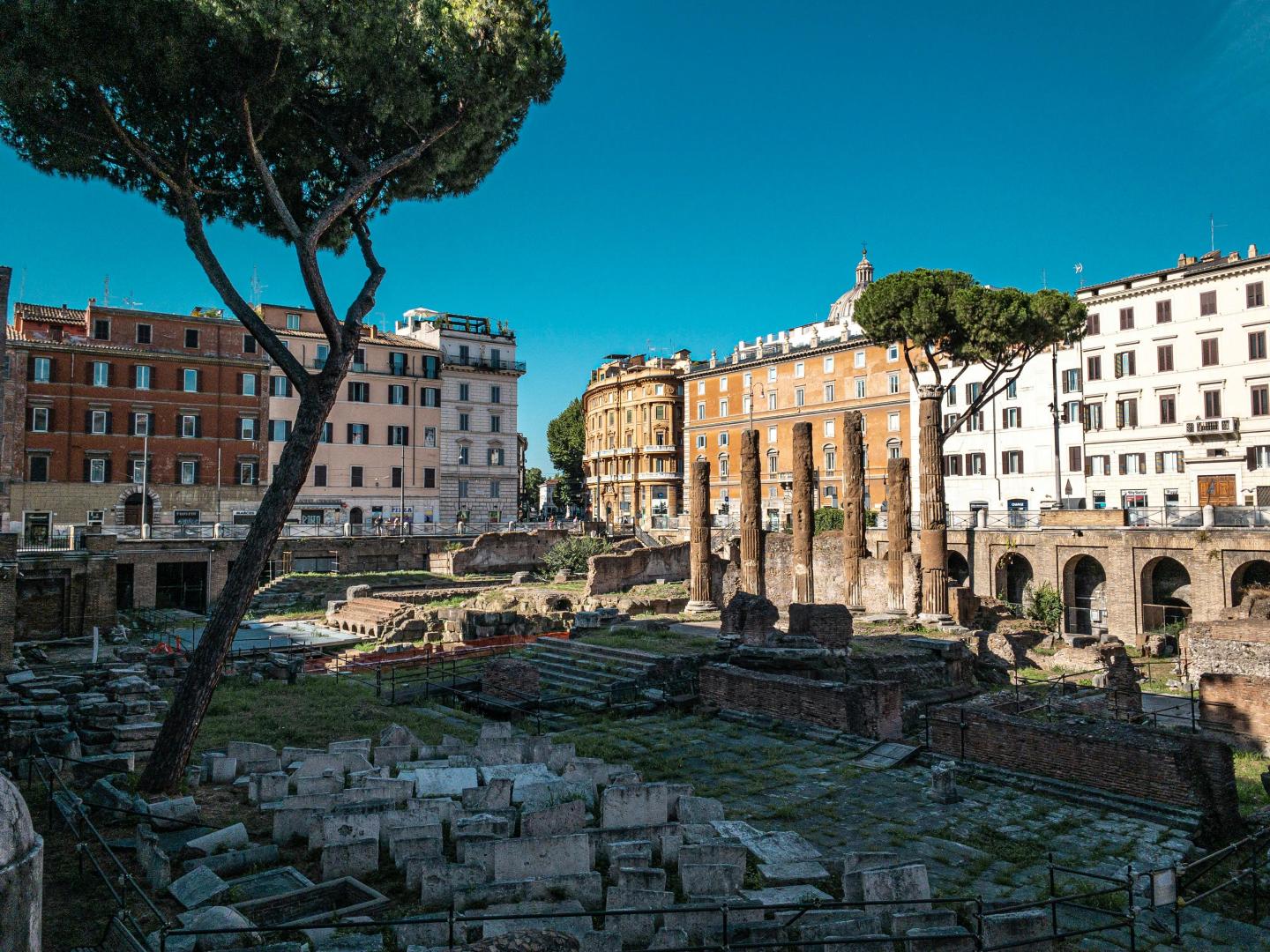 Largo di Torre Argentina Rome Experience Pass
