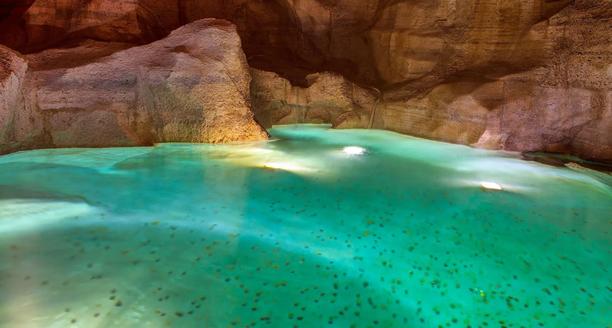 Monedas en la cuenca de agua bajo la Fontana de Trevi Roma